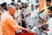 CM Yogi Adityanath Urges Sanatan Unity, Highlights Temple Achievements in Mathura Address