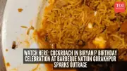Cockroach Found in Biryani at Gorakhpur Restaurant Sparks Hygiene Debate