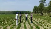 Community Seed Banks Help Flood-Hit Punjab Farmers Restore Crop Productivity