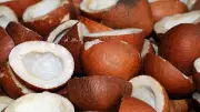 Copra Prices Soar to Record High of Rs 38,000 per Quintal in Tumakuru