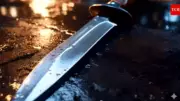 Delhi Man Arrested for Stabbing Wife; Had Prior Murder Case