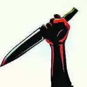 Delhi Police Officers Injured While Apprehending Burglary Suspects in West Delhi