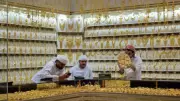 Dubai Gold Jewellers Slash Making Charges Ahead of Akshaya Tritiya 2026