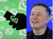 Elon Musk, Telegram CEO Slam WhatsApp Trust, Meta Fires Back at 'Absurd' Claims