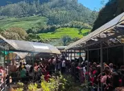 Eravikulam National Park Reopens After Breeding Season, Welcomes Newborn Nilgiri Tahrs