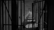 Ex-Navy Officer Purnendu Tiwary Remains in Qatari Jail Amid Separate Case, Efforts Continue