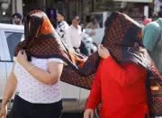 FAO-WMO Report: Extreme Heat Threatens Global Food Systems and Farm Livelihoods