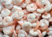 Frozen Shrimp Drives Indian Seafood Exports to Record Rs 72,000 Crore in FY26