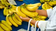 FSSAI's Guide: Spotting Natural vs. Chemical Banana Ripening