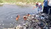 Ghaziabad Boy, 6, Drowns in Cremation Ground Pond After Chasing Kite