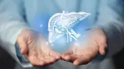 Global Liver Disease Crisis: 1.3 Billion Affected in 2023, Lancet Study Reveals