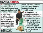 Goa to Establish Three Dog Shelters and Hire 20 Catchers to Curb Rising Stray Dog Attacks