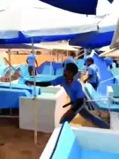 Goa Tourism Demands Evidence from Shack Owner After Tourist Assault Incident