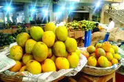 Goa's GI-Tagged Mancurad Mango Prices Plummet by Rs 1,000 Per Dozen