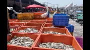 Goa's Saleri Village Set for Transformation into Modern Fishing Hub Under PM Scheme