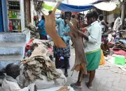 Goatskin Water Bags for Chithirai Festival Go on Sale in Madurai