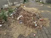 Haryana Farmers Protest Crop Loss Compensation, Oppose New Mandi Restrictions