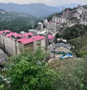 Himachal Govt Orders Action Against Chester Hill Project for Land Law Violation