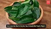 How to Use Curry Leaves for Grey Hair: DIY Recipe, Benefits, and More