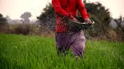 IMF, World Bank, IEA Warn of Prolonged High Fuel and Fertiliser Prices