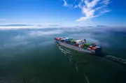 India to Import Record 2.5 Million Metric Tons of Urea at Double the Price