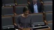 Indian-American Woman Confronts Racist Rhetoric at Frisco City Council Meeting