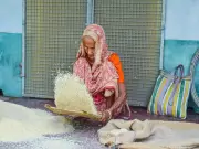 India's First Integrated Basmati Organic Training Farm in Pilibhit, UP