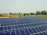 India's Renewable Power Hits Record High in 2025, Fossil Generation Declines