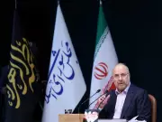 Iran Parliament Speaker Mocks US Search for Missing Pilot After Jet Downed