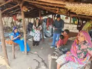 Jaipur: Four-Year-Old Girl Dies in Suspected Encephalitis Outbreak, Toll Rises to Six