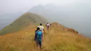 Karnataka Forest Department Struggles to Regulate Over 175 Unofficial Trekking Routes