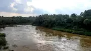 Karnataka Police Book Case for Illegal Dumping of Construction Waste into Phalguni River