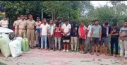 Keonjhar Police Crack Down on Marijuana Smuggling Ring, Arrest 20