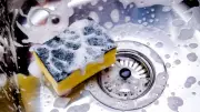 Kitchen Sponge Danger: Why Wet Sponges Breed Pathogens and When to Replace