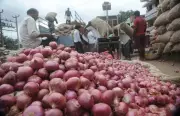 LPG Shortage Shuts Eateries, Crushing Karnataka Onion Prices Below Cost
