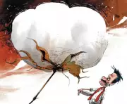 Madhya Pradesh ginning units shut early as cotton arrivals drop sharply