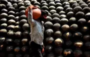 Maharashtra Heat Wave Hits Vegetable Crops, Prices May Rise