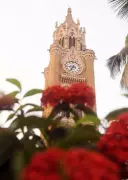 Maharashtra's Empowered Autonomy Colleges Face Joint Degree Hurdle