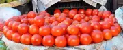 Maharashtra's LPG Crisis Hits Hospitality, Triggers Tomato Price Crash