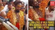 Massive 11,000-Litre Milk Ritual in MP Temple Goes Viral, Sparks Online Debate