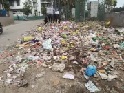 MCG Floats Rs 6.8 Crore Tender for Road Sweeping as Old Contracts Expire