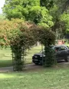 Mohali Court Orders Community Service for SUV Stunt in Leisure Valley Park