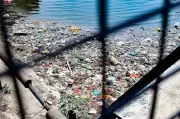 Nagpur's Swachh Survekshan 2025-26 Challenge: Garbage Points, Polluted Lakes Expose Cleanliness Gaps