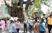 Nashik Tree Activists Halt Municipal Corporation's Felling Drive Citing NGT Stay