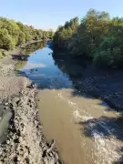 Navi Mumbai: Lab Tests Reveal Highly Polluted Water Flowing Into Flamingo Wetland