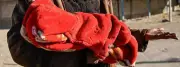 Newborn's Body Found in Shimla Hospital Washroom, Police Launch Investigation