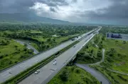 NHAI to Develop Medicinal Plant Groves Along Highways, Haryana in First Phase