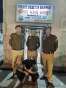 Notorious Drug Supplier Arrested in Ambala, Himachal Police Crack Down on Narcotics Network