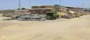 Officials Directed to Speed Up Wheat Lifting in Tarn Taran District