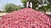 Onion Prices Plummet 30% at Lasalgaon APMC, Farmers Face Heavy Losses